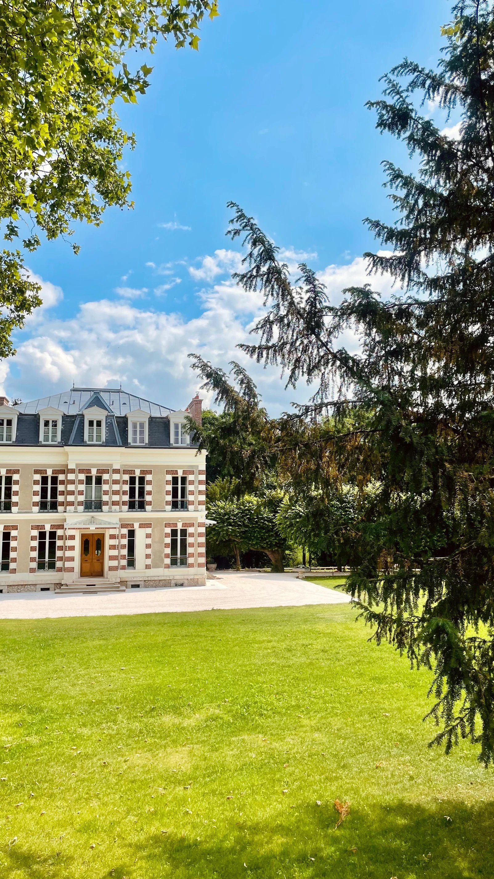 e9295246-b23c-465c-b09c-e6a8fc9e3d39