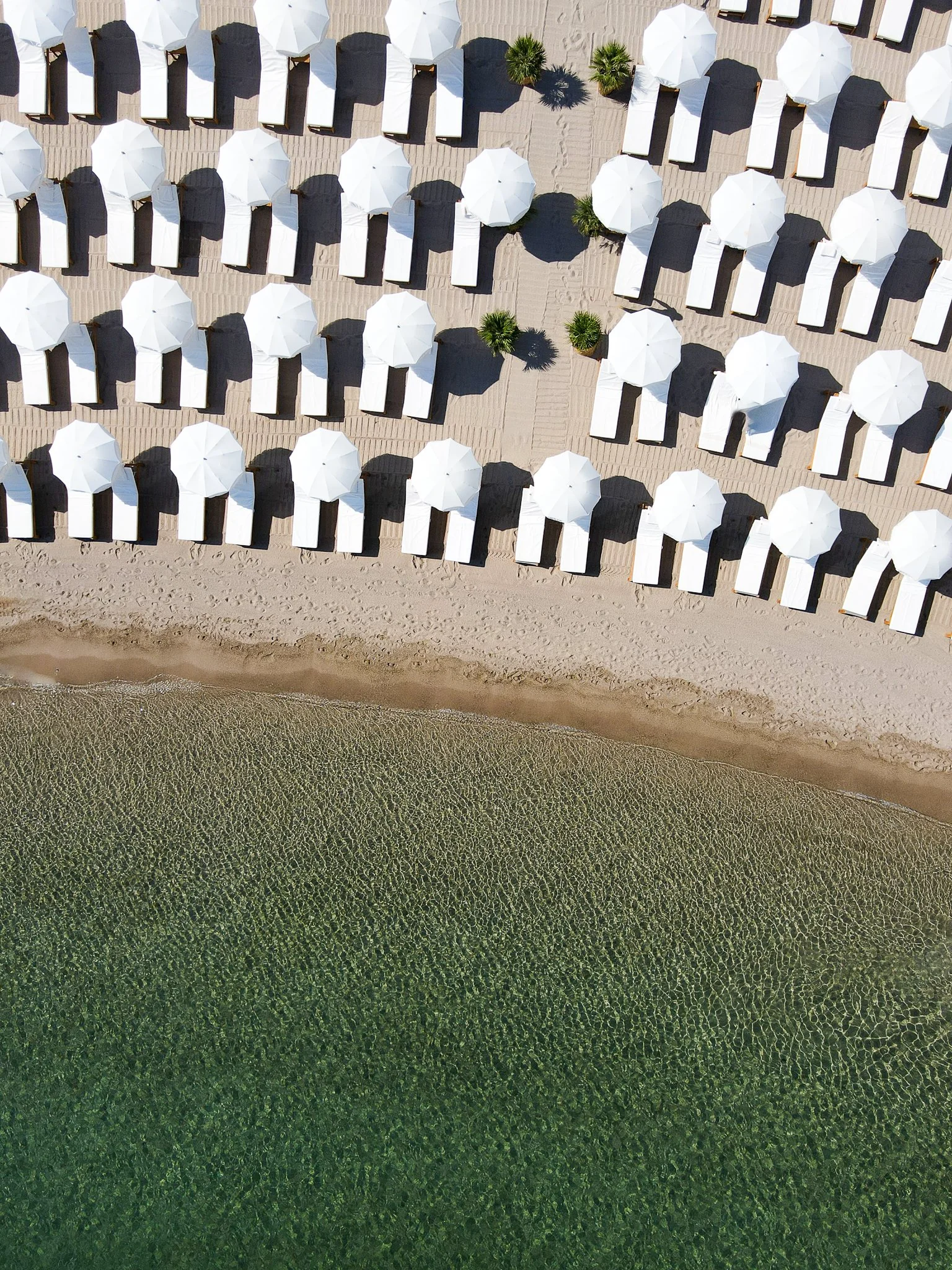 e983c88b-9cd1-47fb-84b3-bb0fc673dcde