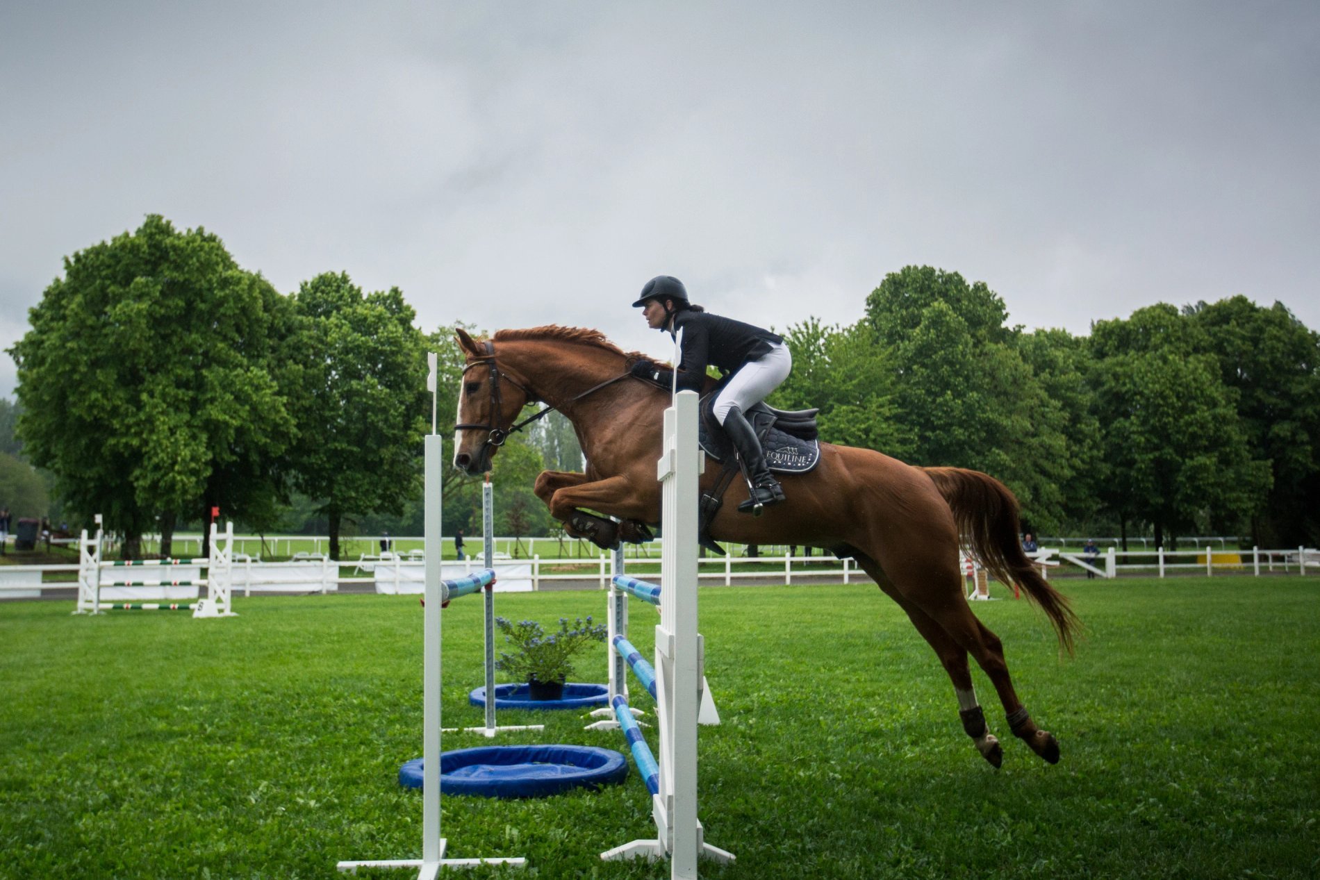 e98e3cd6-7e14-40de-bdf9-11234b9c19a7