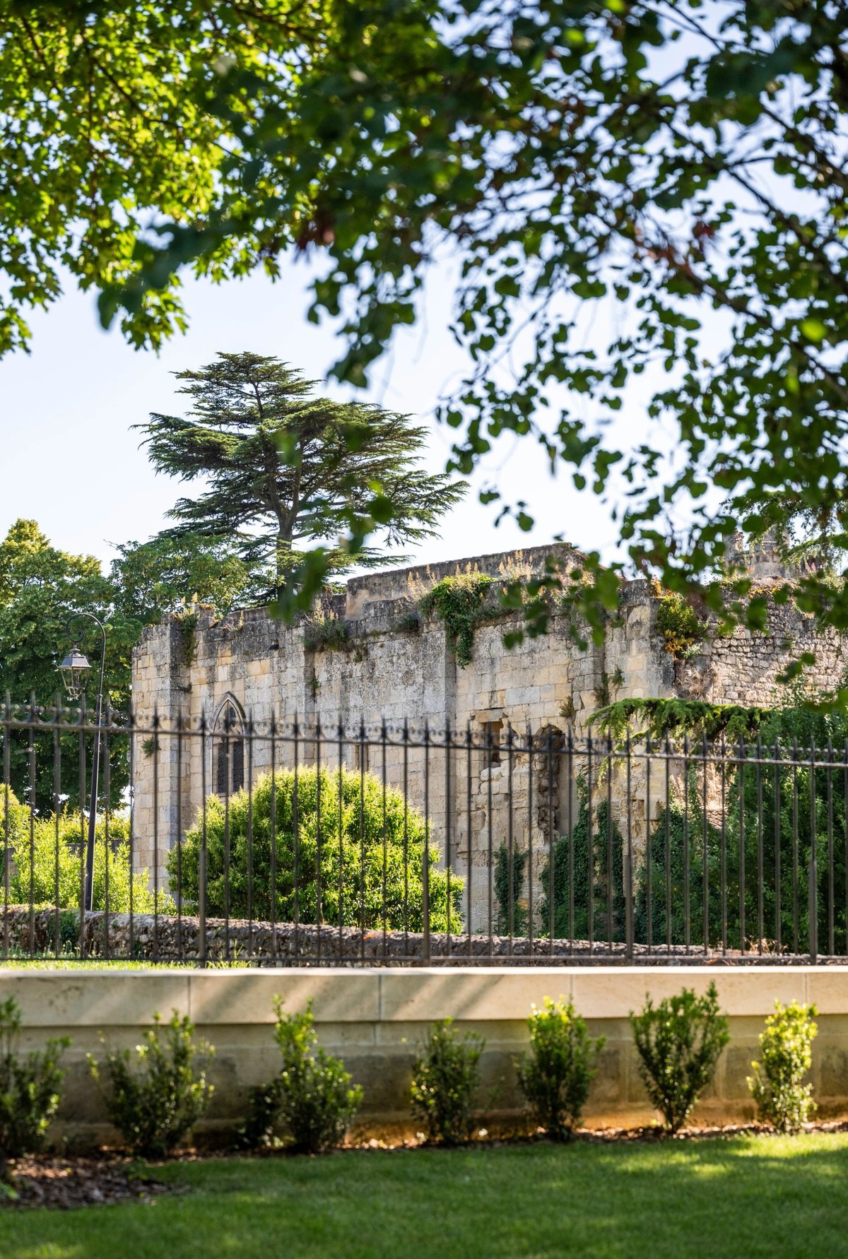 La Villa des Vignes, 