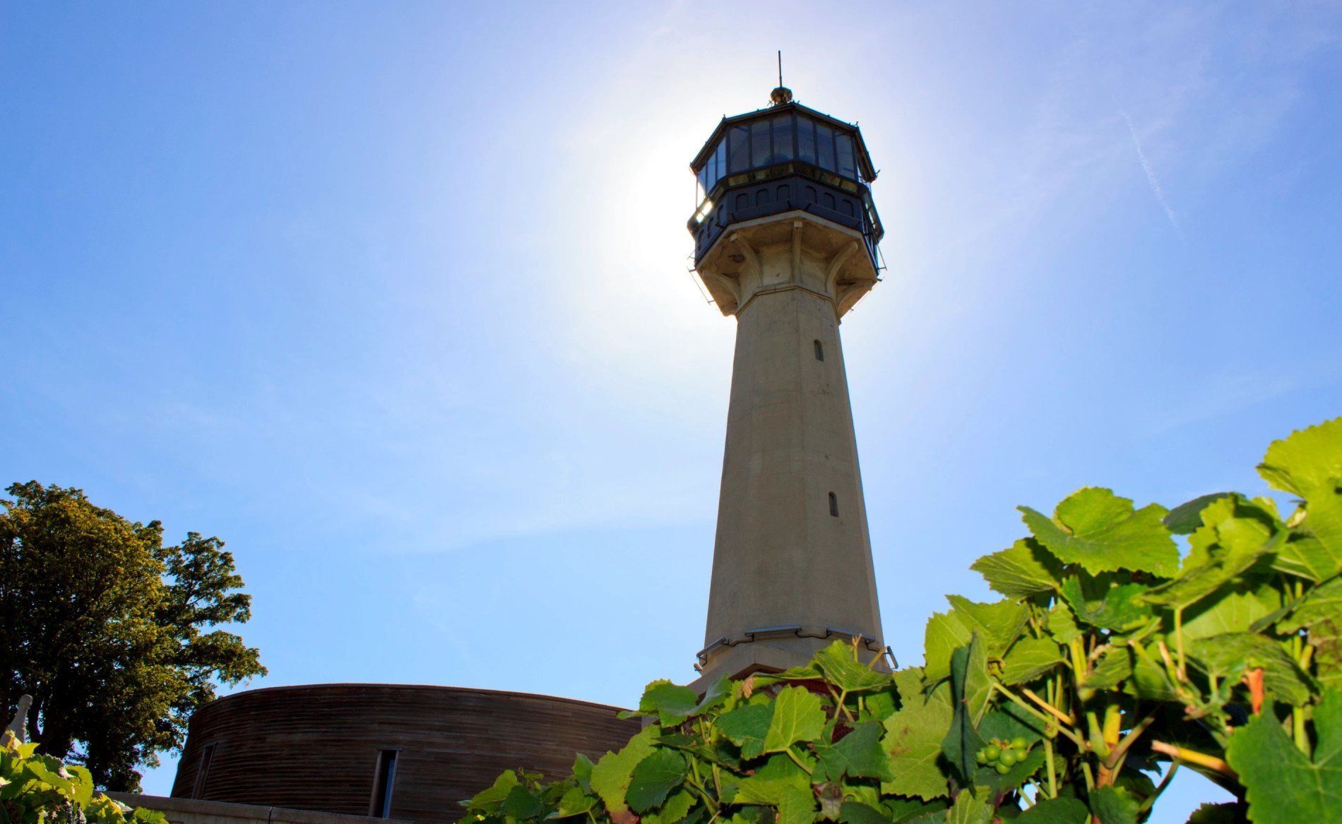 ea4be22e-9979-4ed5-a33b-8ec1f538f475