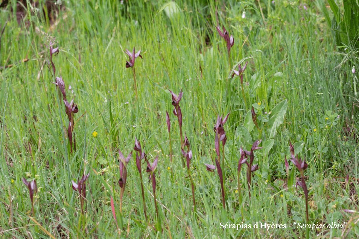 eb1ff000-c898-4e85-a077-da1043f5f5f1