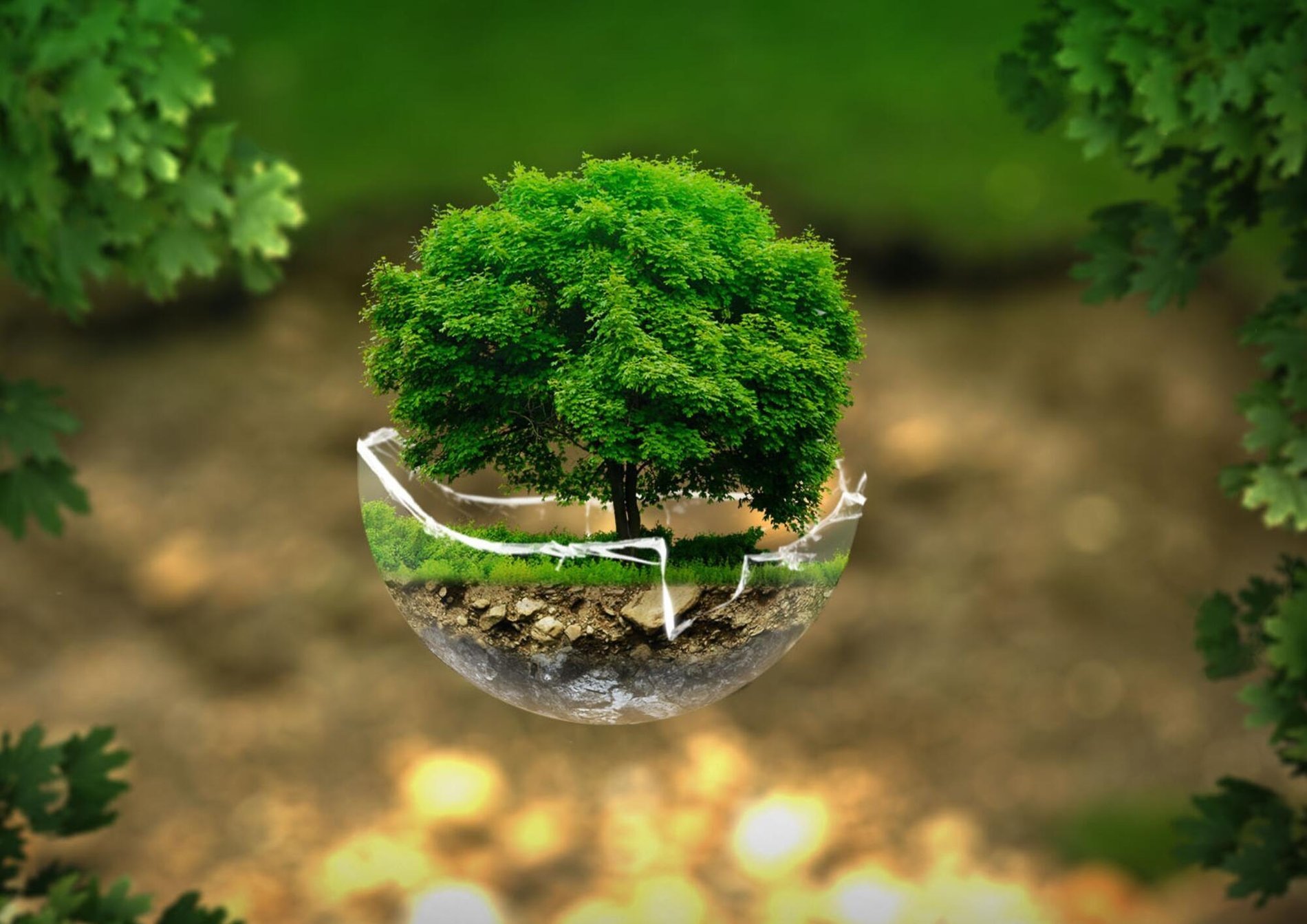 ed1affde-79b9-4dc1-aaa6-d7debecbfc90