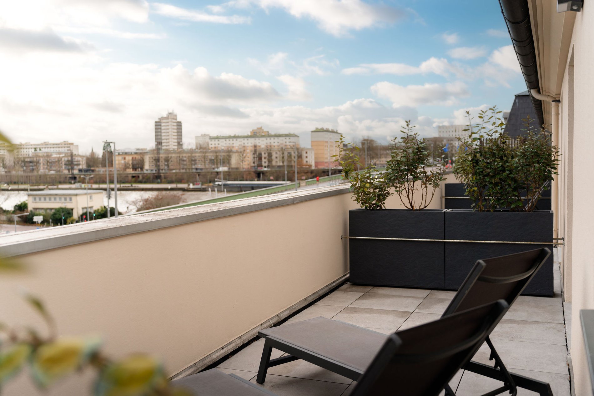 ed1d46c2-39b4-4db1-8d71-f3d3b7713b61