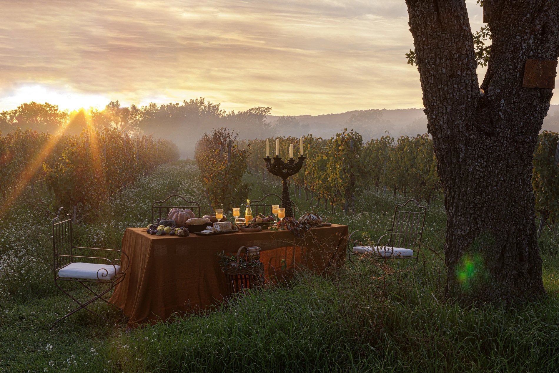 edde1ae0-d8ec-4206-ad09-ddef20526a06