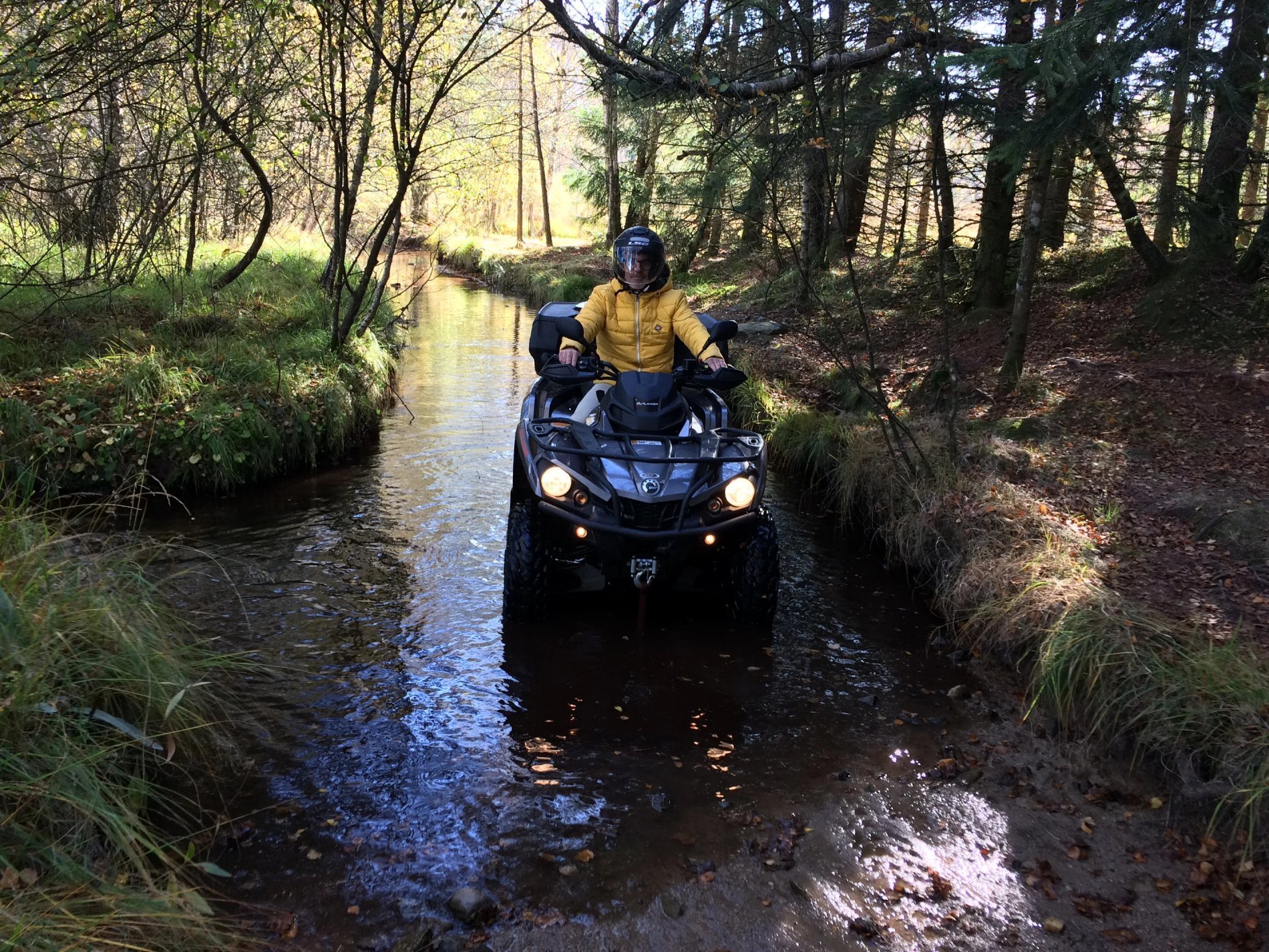 Conducteur de quad traversant un ruisseau peu profond dans une forêt dense.