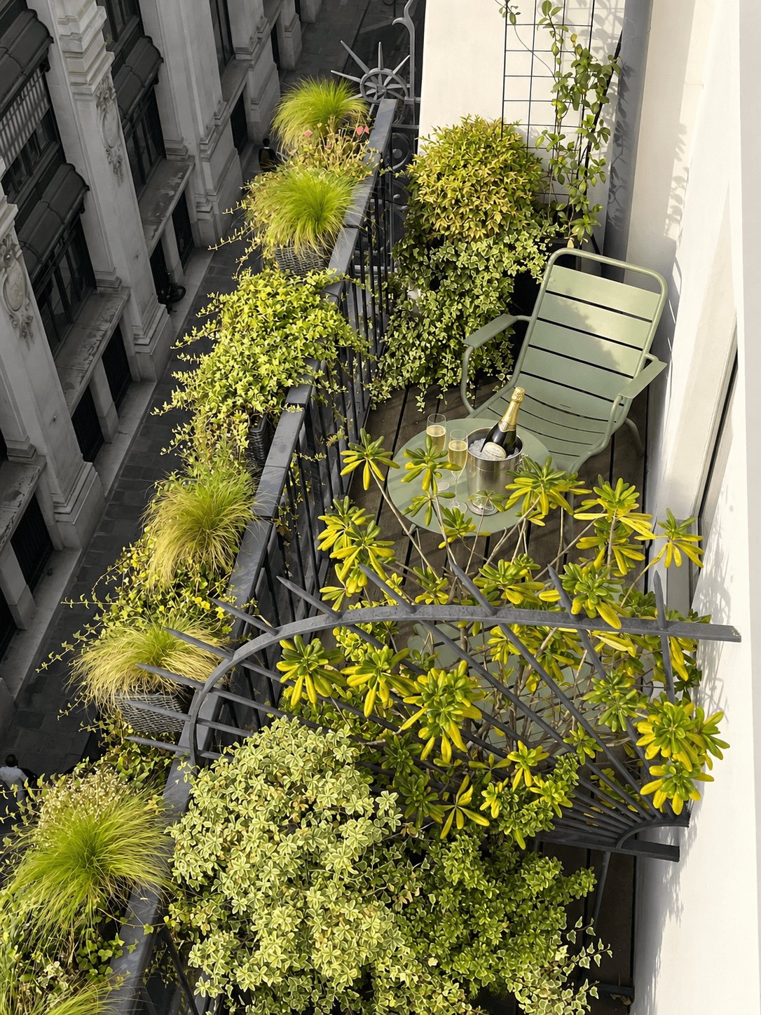 Private begrünte Terrasse eines Superior-Zimmers im Hôtel Gramont Paris