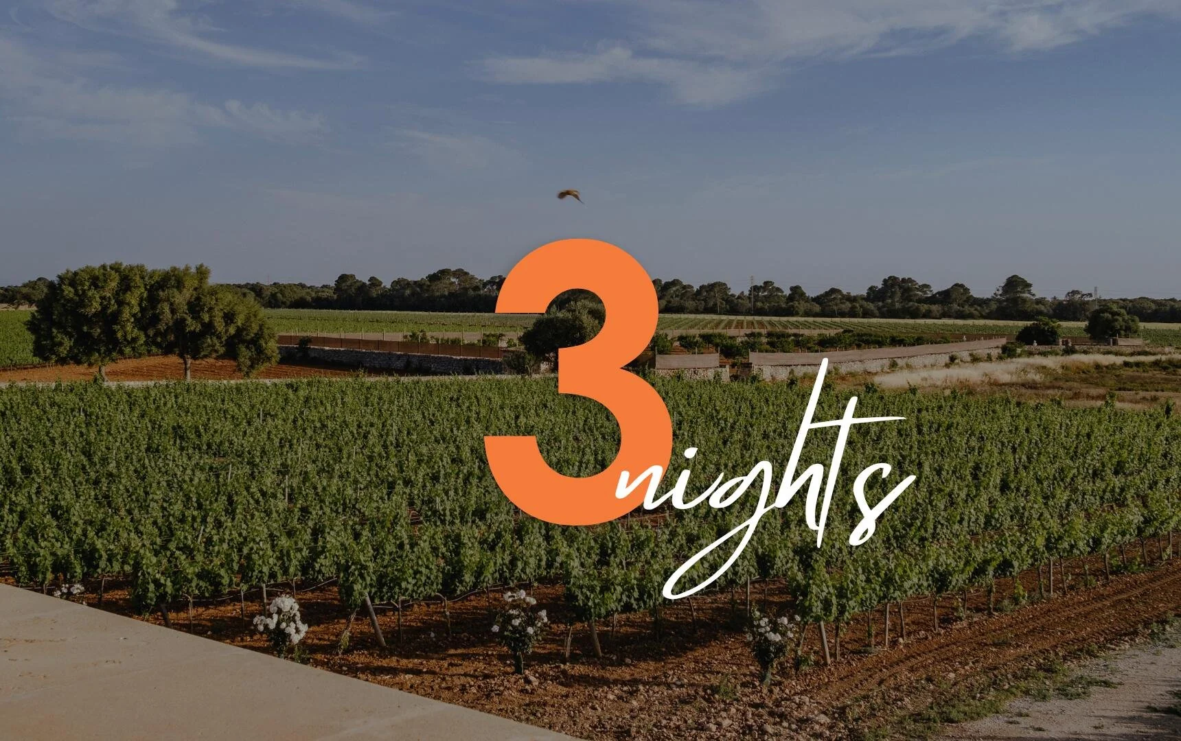 ee649aac-ca2b-4ca5-a7b9-efc833f0d86a