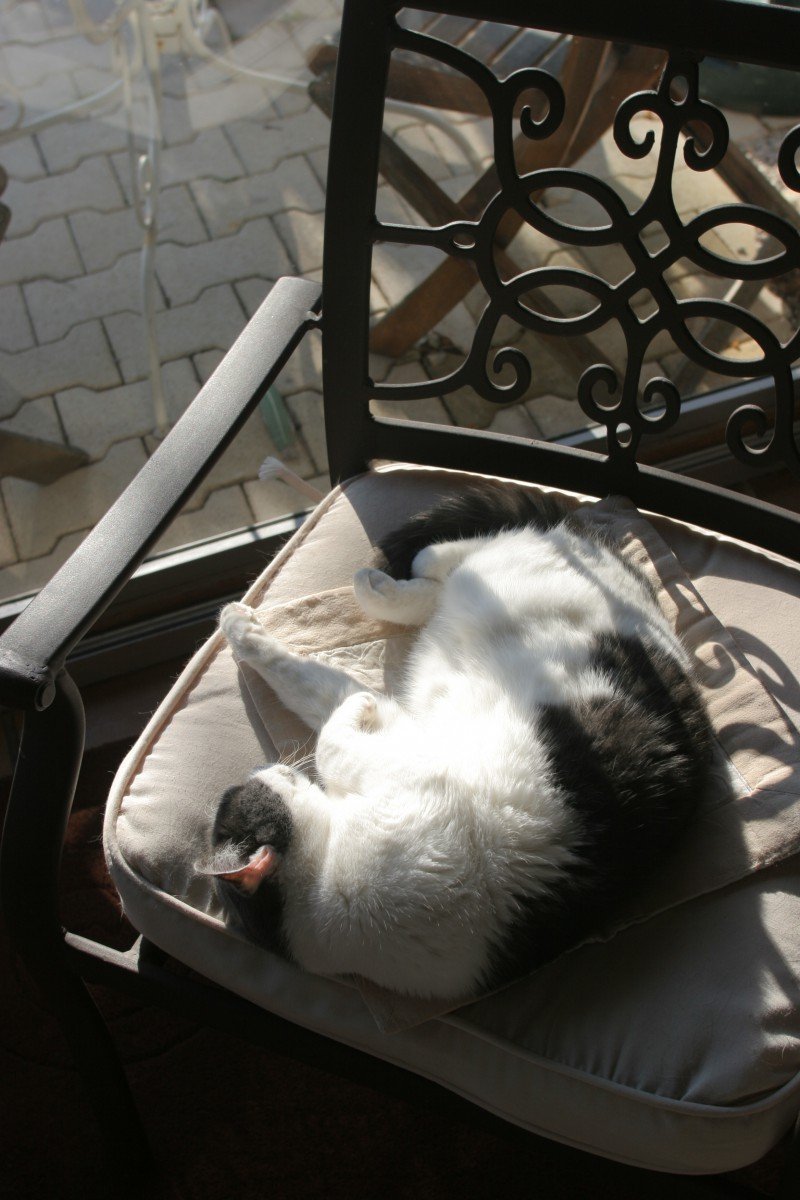 eed30d74-8f6c-4eea-b172-235110a50f11