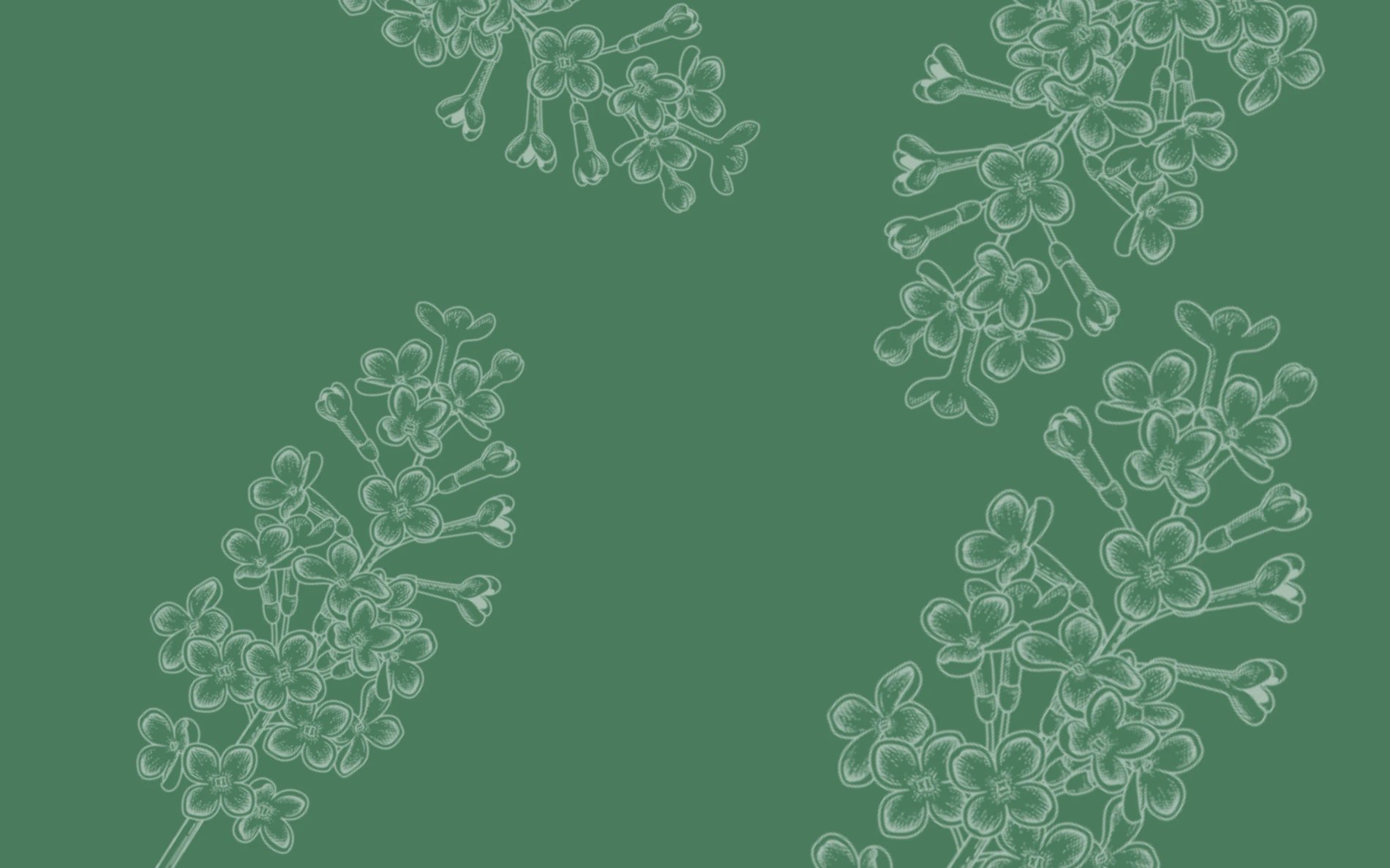 efd82eb4-68e2-4a1a-ad62-ca2c925c3690