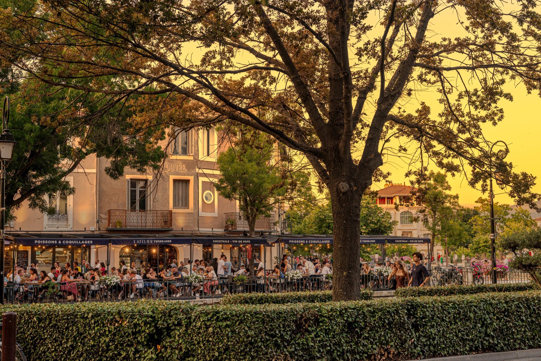 Scène de vie en terrasse sous les platanes à L’Isle-sur-la-Sorgue