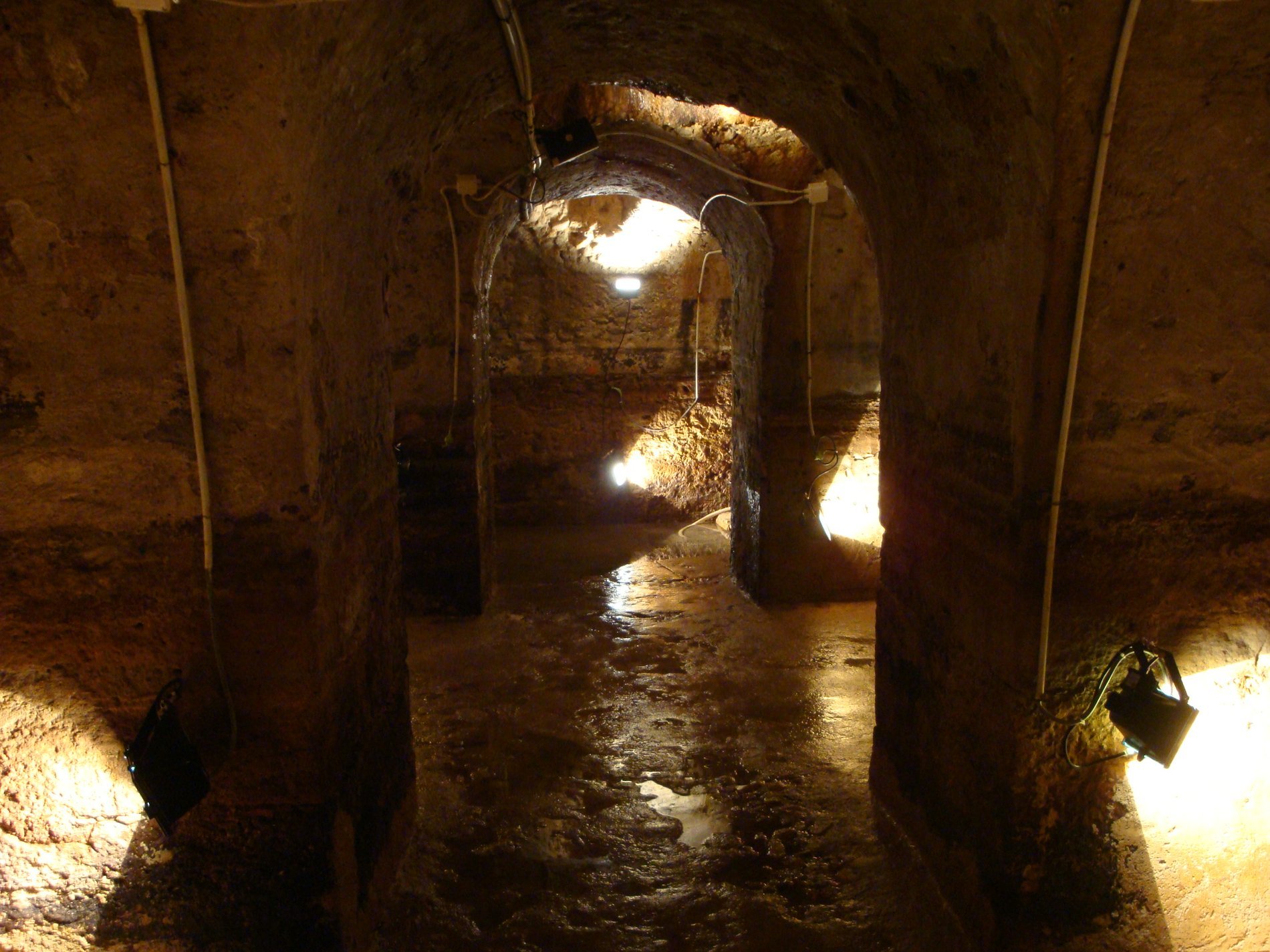 f22e766b-fcbd-41b5-ac4b-4c8f170b4427