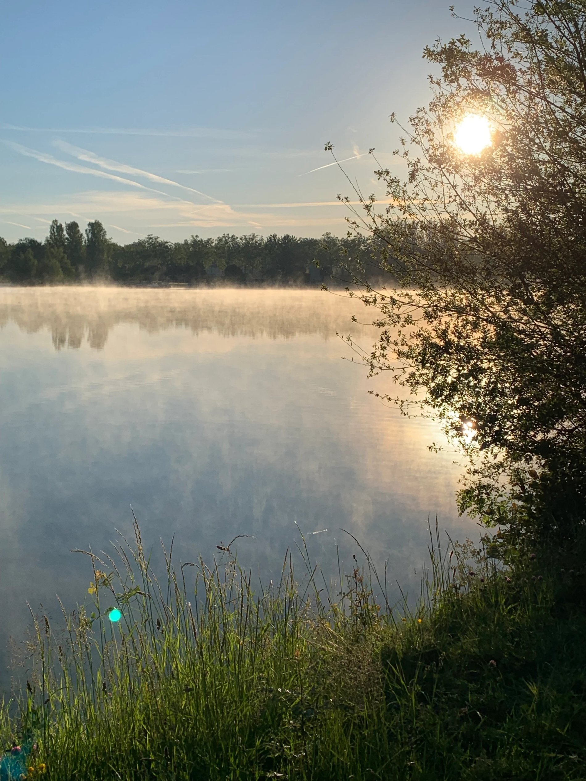 f2f1c053-5fcd-402b-b85c-c790b5a5c2e5