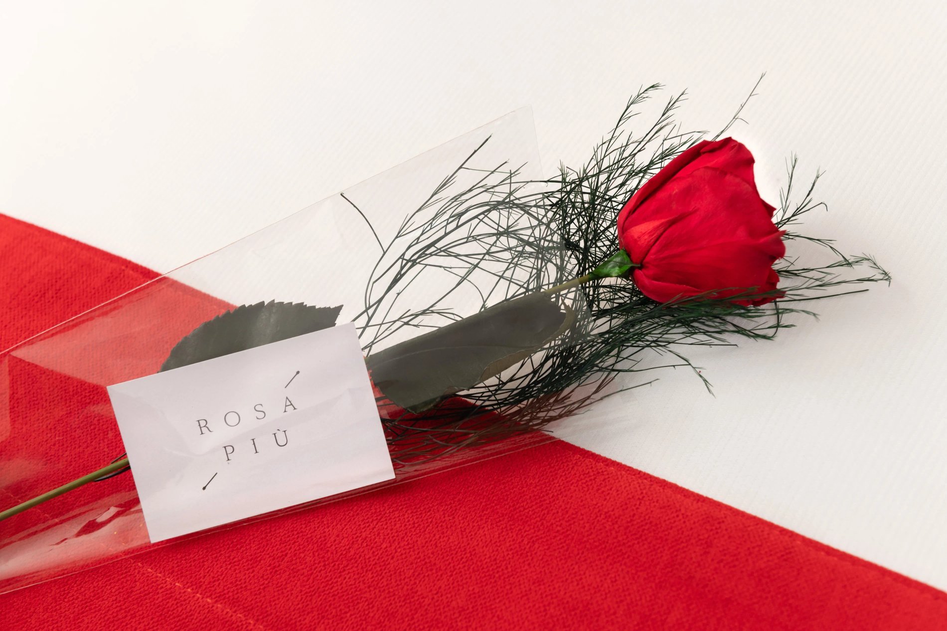 Rote Rose in eleganter Verpackung mit einem "Rosa Piu"-Etikett