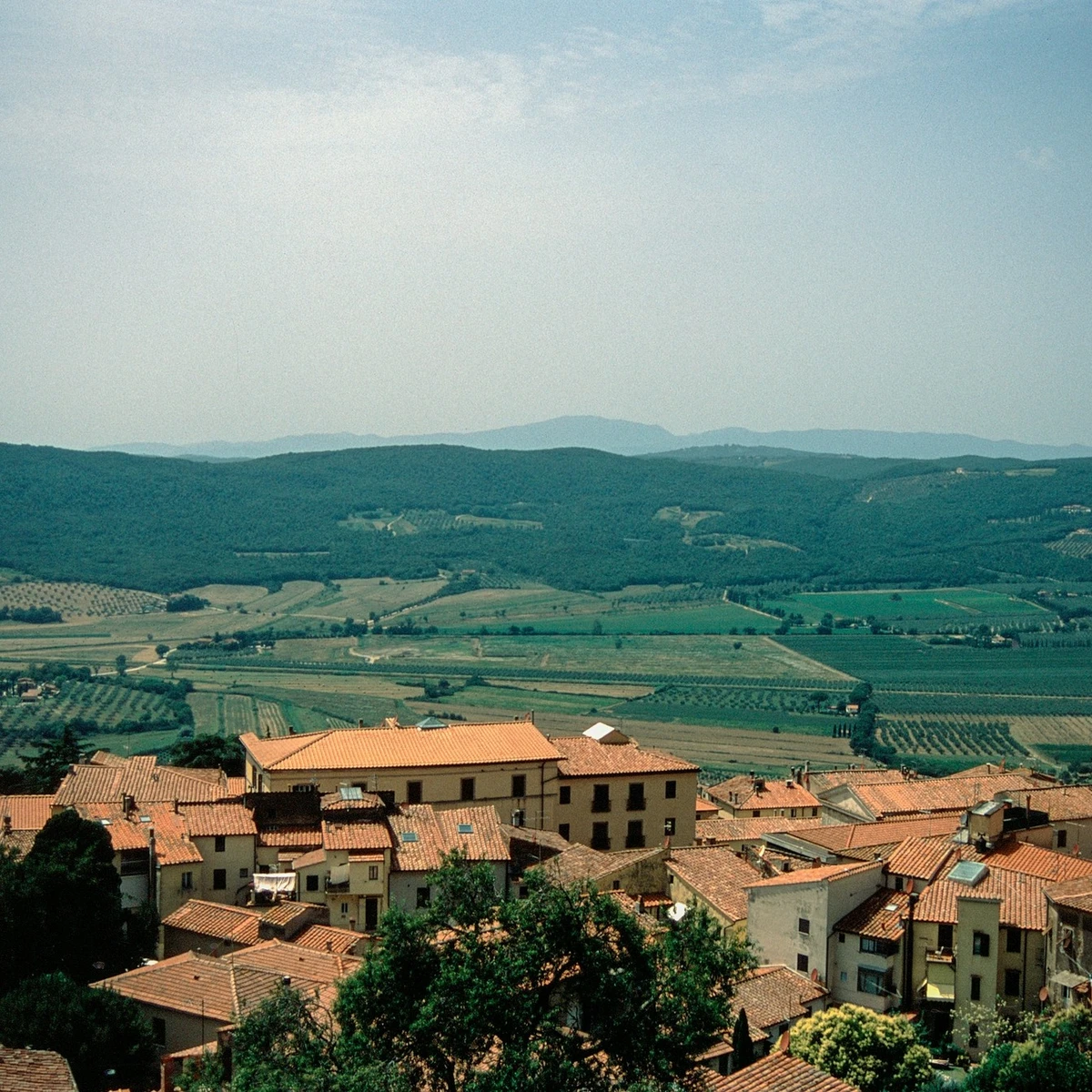Maison Albar - Amoure, Maison Albar Amoure | The lands of Alvarinho