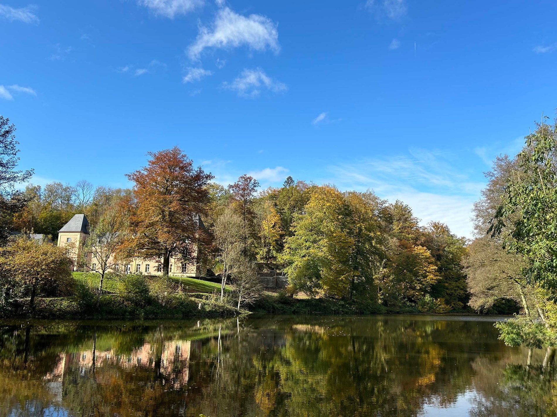 f61a8296-2c4c-4720-a9ba-1f46e44ea706