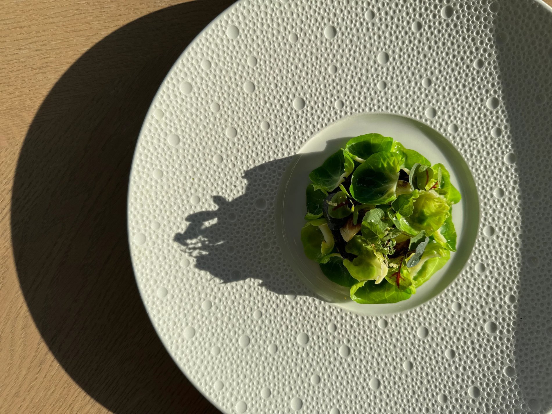 f8d457a1-266b-49f7-8ea3-b3250ac41040