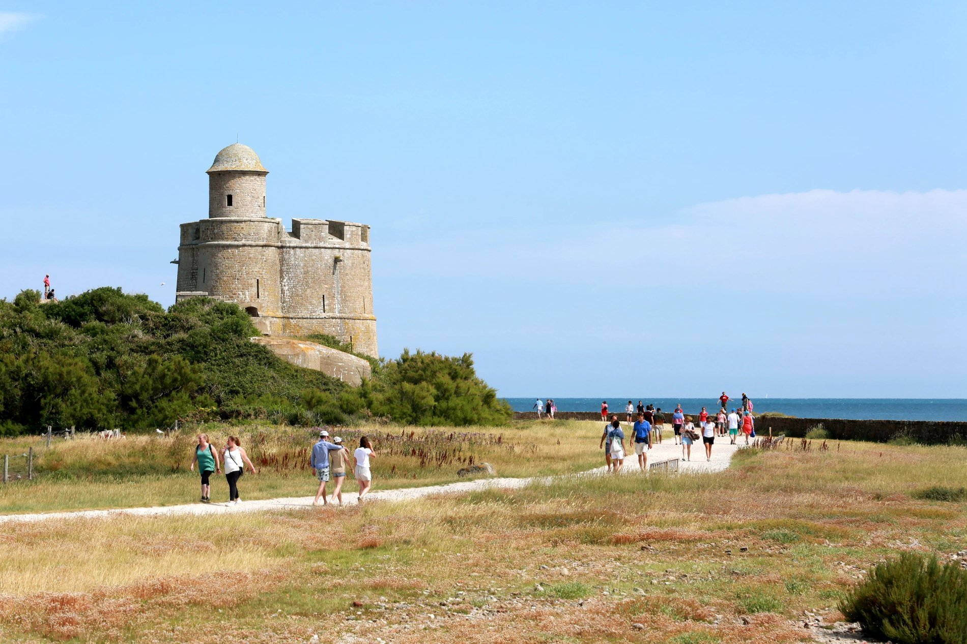 f9b33a08-2b6e-4ac2-b583-050d3f226656