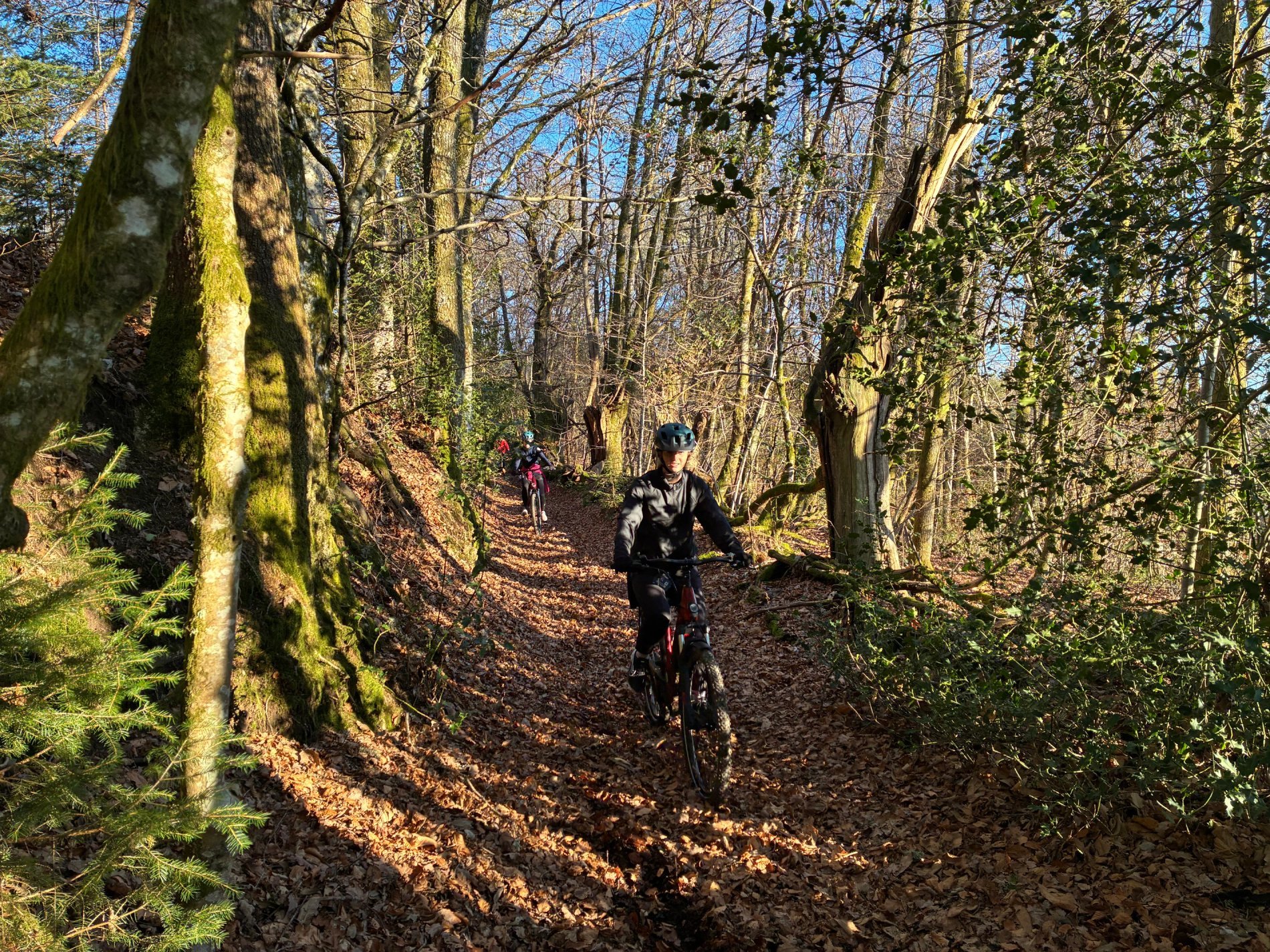 fa21d273-4a5c-496b-8089-e0873867c858