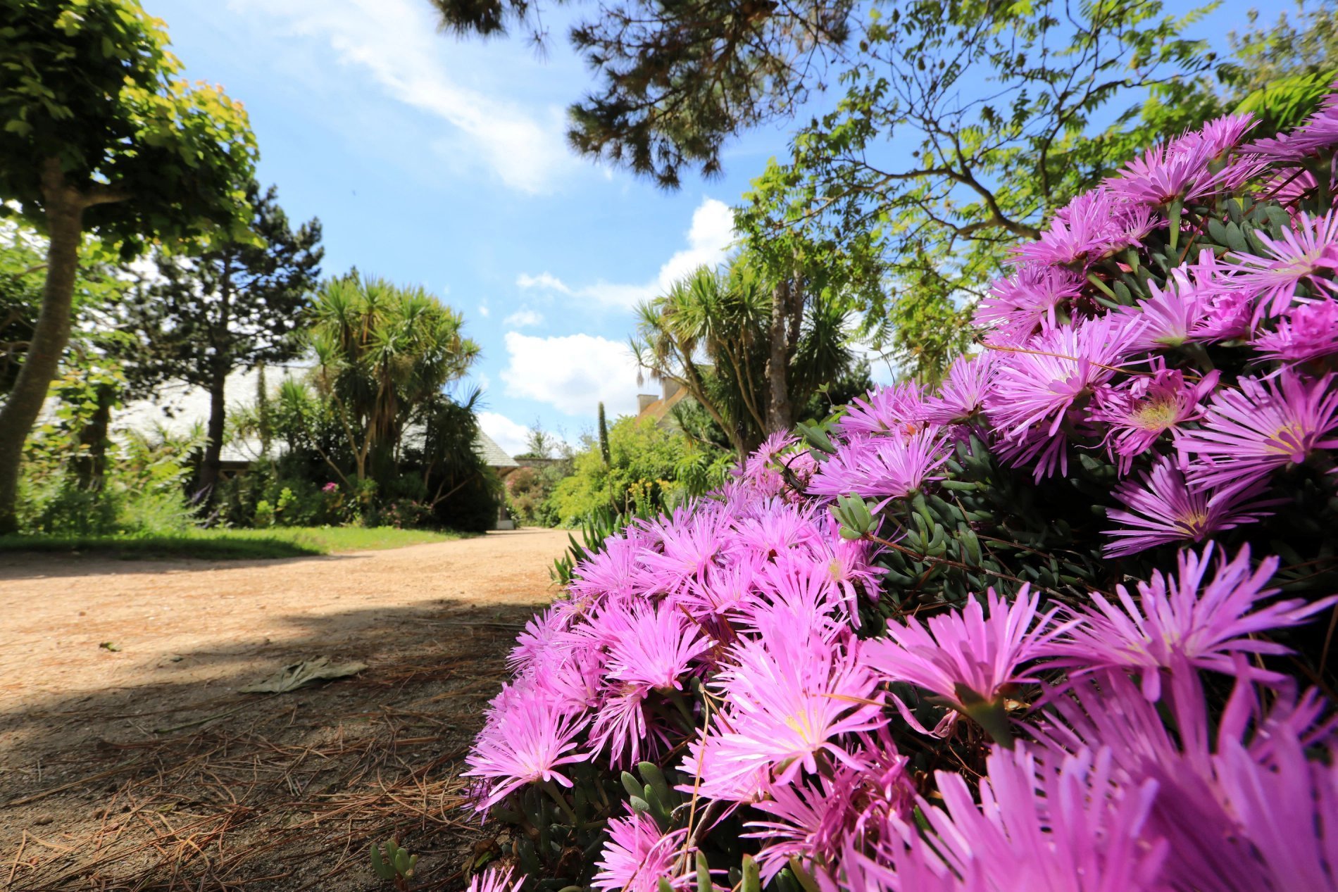 fcacb9f8-59ed-4f0c-990c-8cf4b1ab74e9