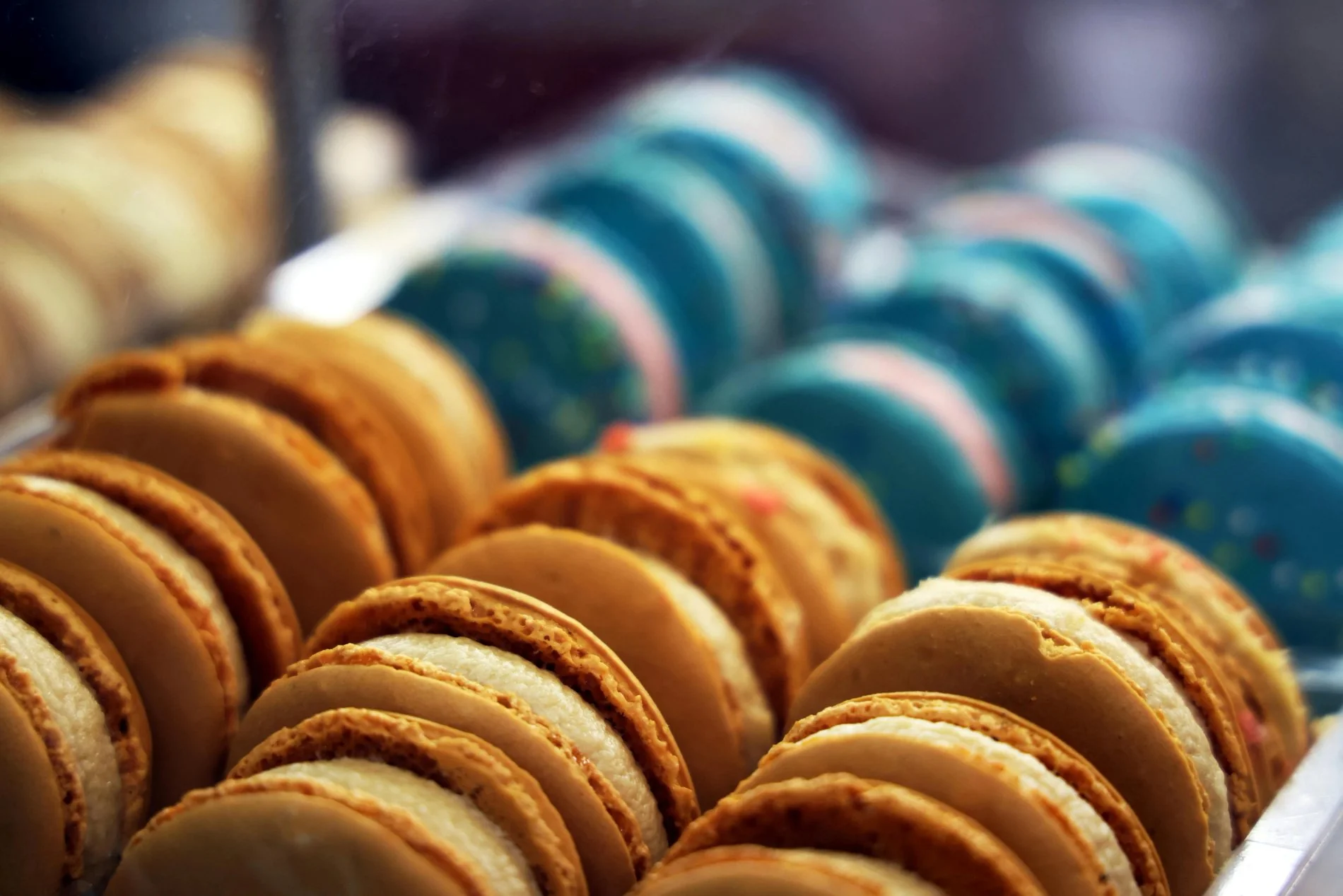 fd1524d4-e813-4ba6-98dd-a6add051daed