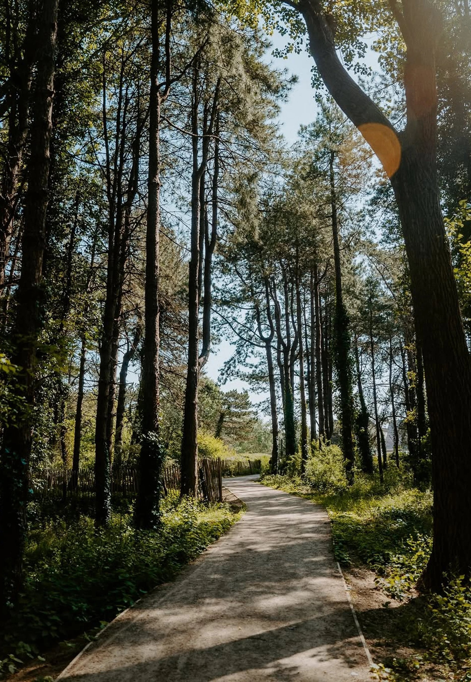 fd756203-1078-4295-bb79-daeff539475b