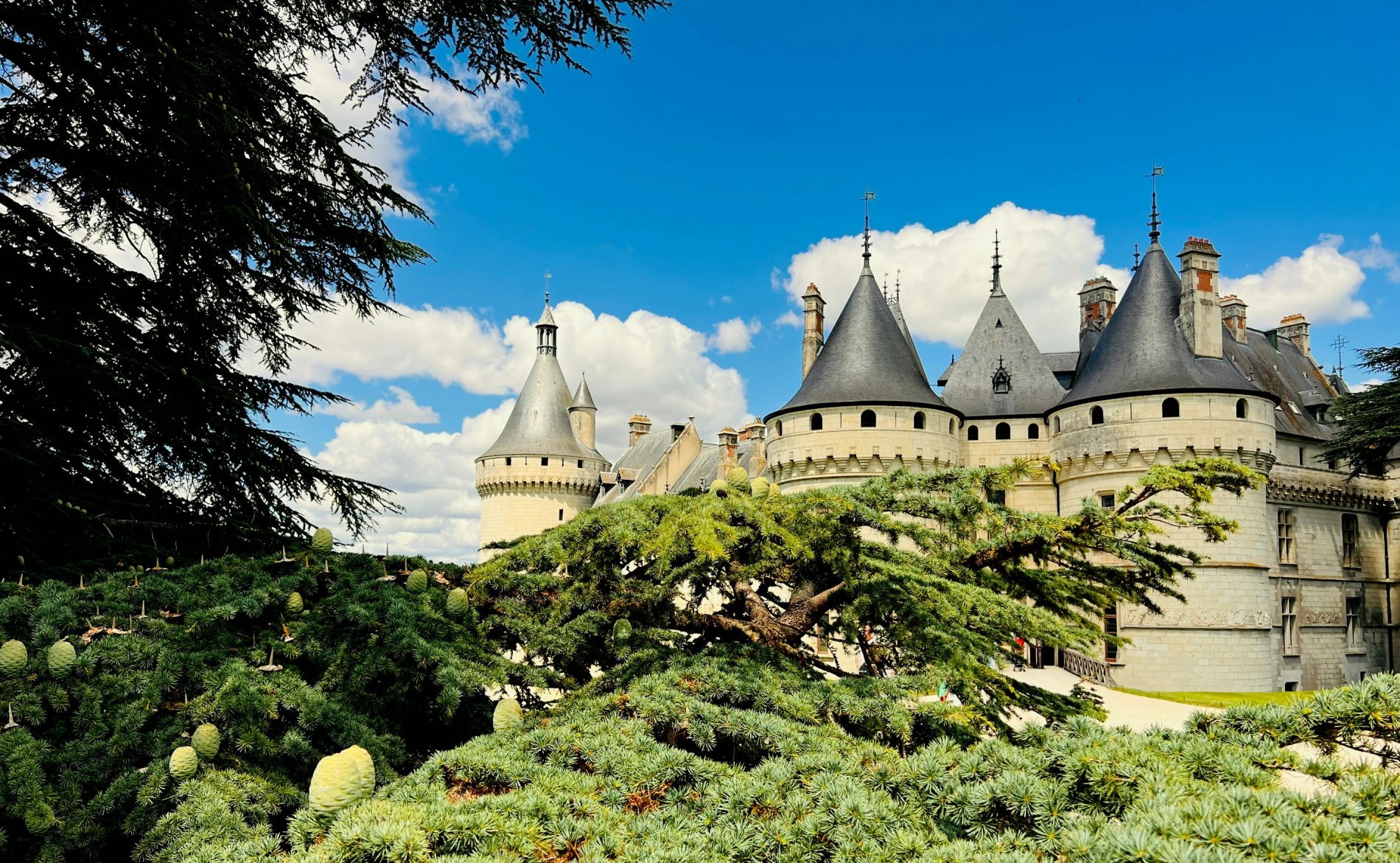 fe13954f-c129-48ed-ae4d-deef85788210