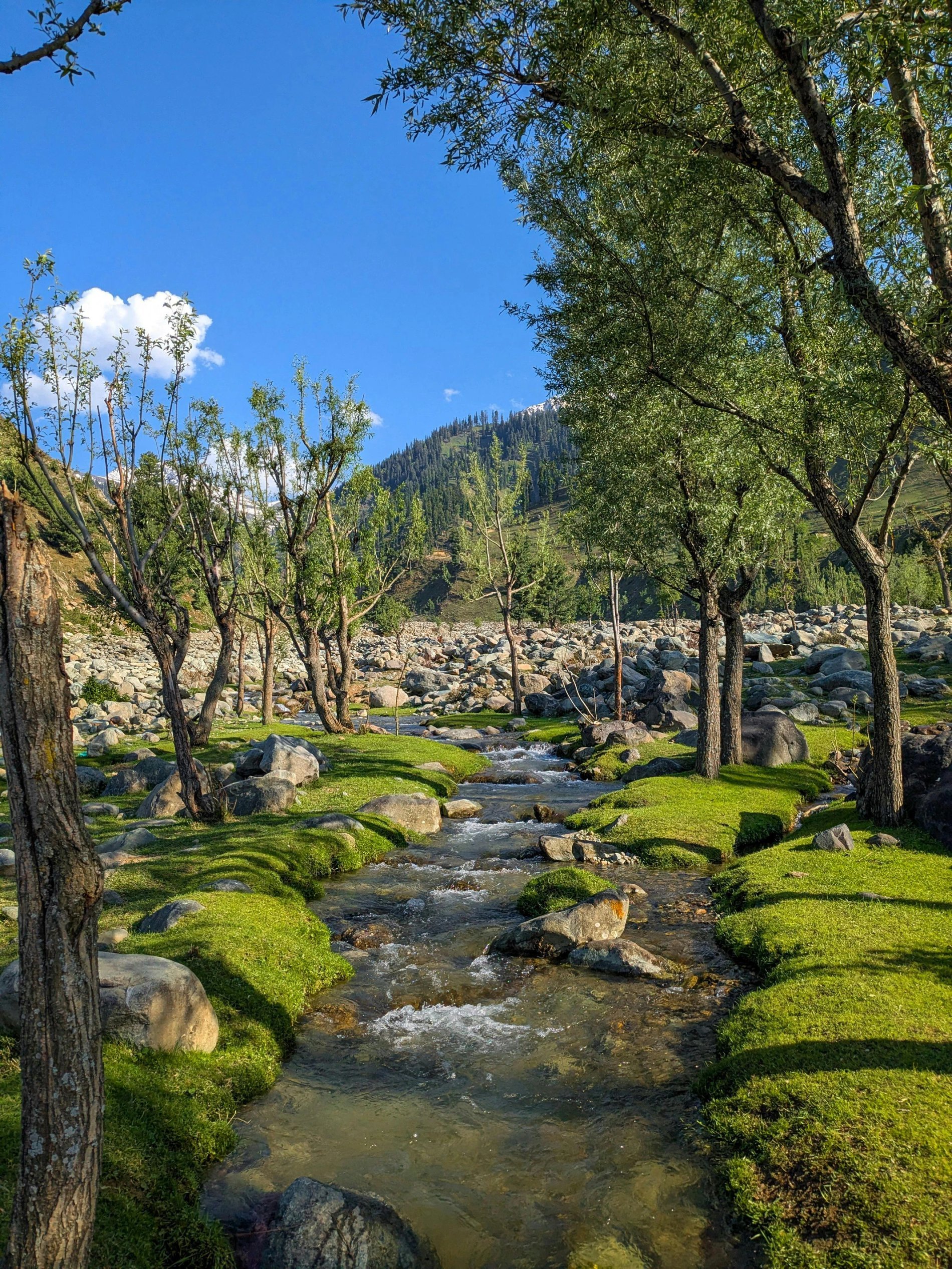 fe220170-0402-49b6-a749-c058cb723a75