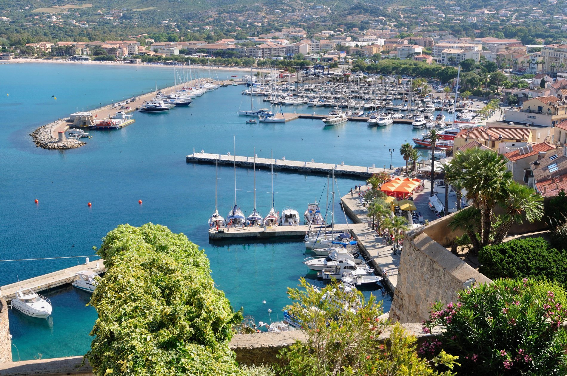 fe2ec157-2758-4df1-bc46-19f7ea0b6b23