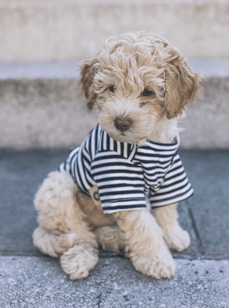 fe5433f8-9e1f-483f-a70e-5ebfaf66cd8a