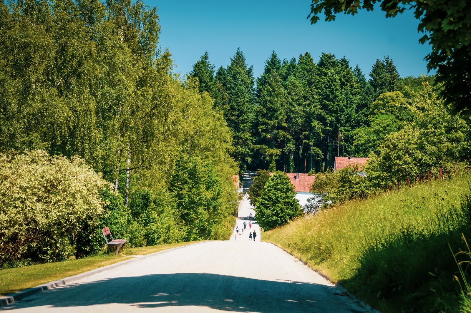 fe97d36d-7e5b-44e2-9bf7-4a1cd9ed099a