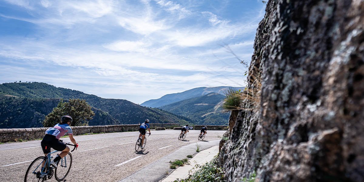 ff525ecc-3019-41cd-9ee2-56ffbbb03f05