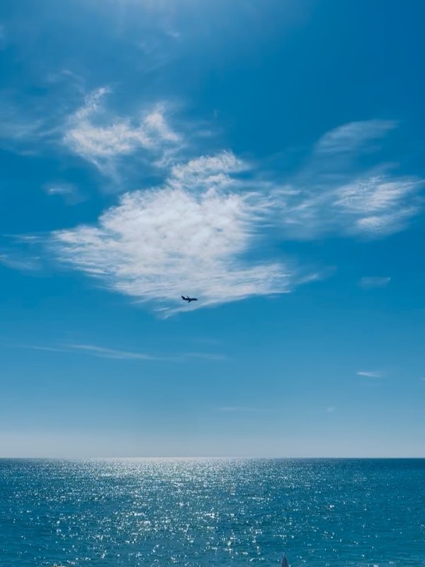 Le Temps d‘un été photo 3