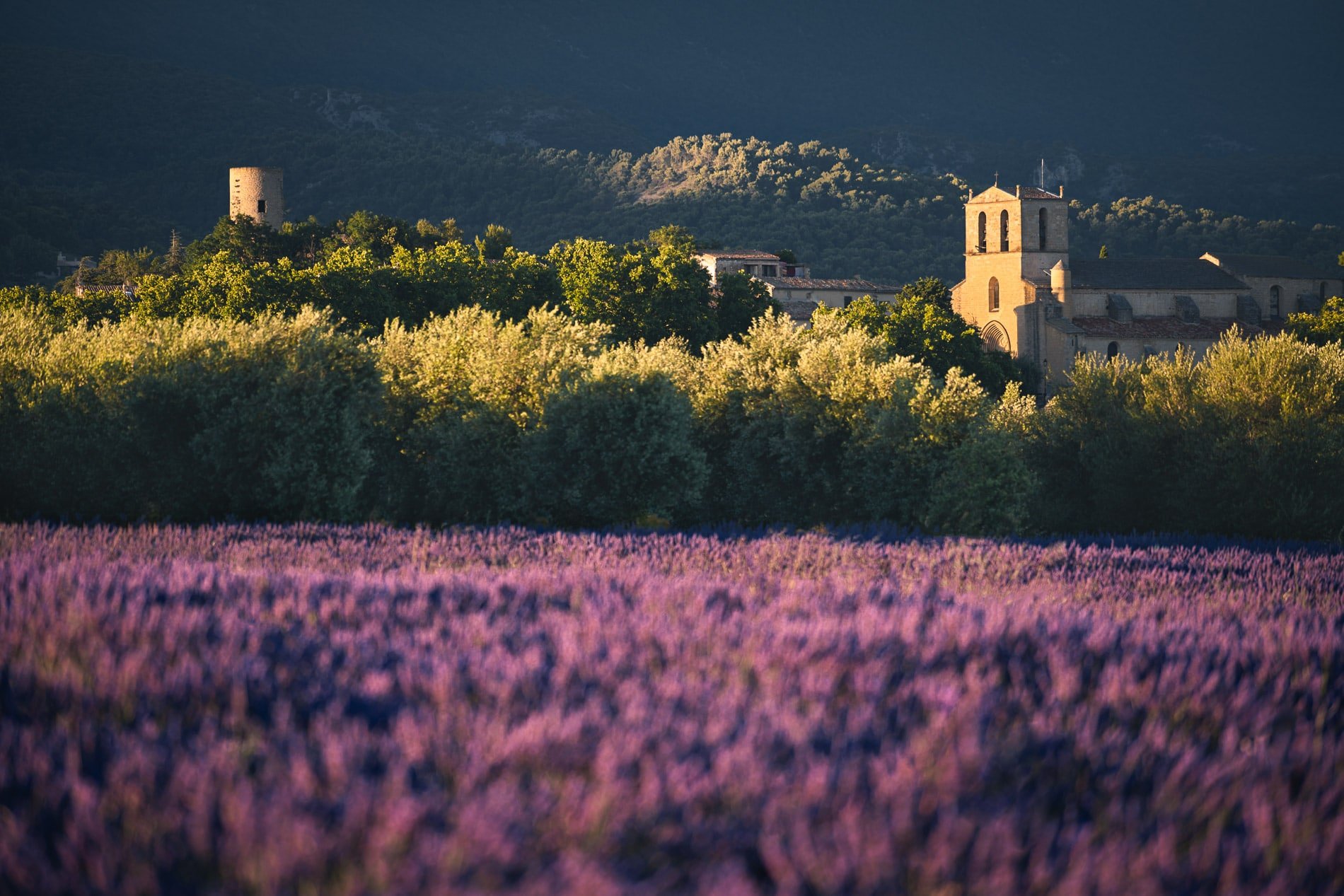 10/Photos/conciergerie/Le_Luberon_au_csur_de_la_Provence_5.jpg