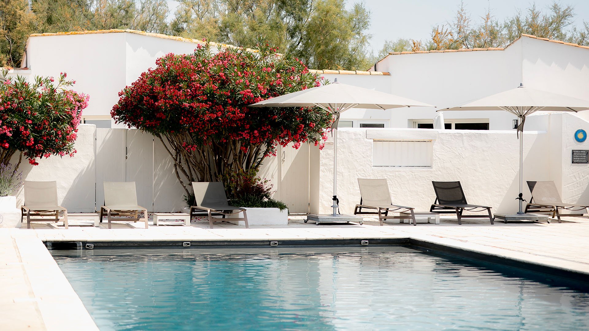 Hôtel de luxe Mas de la Fouque 4* Saintes-Maries-de-la-Mer Camargue France piscine