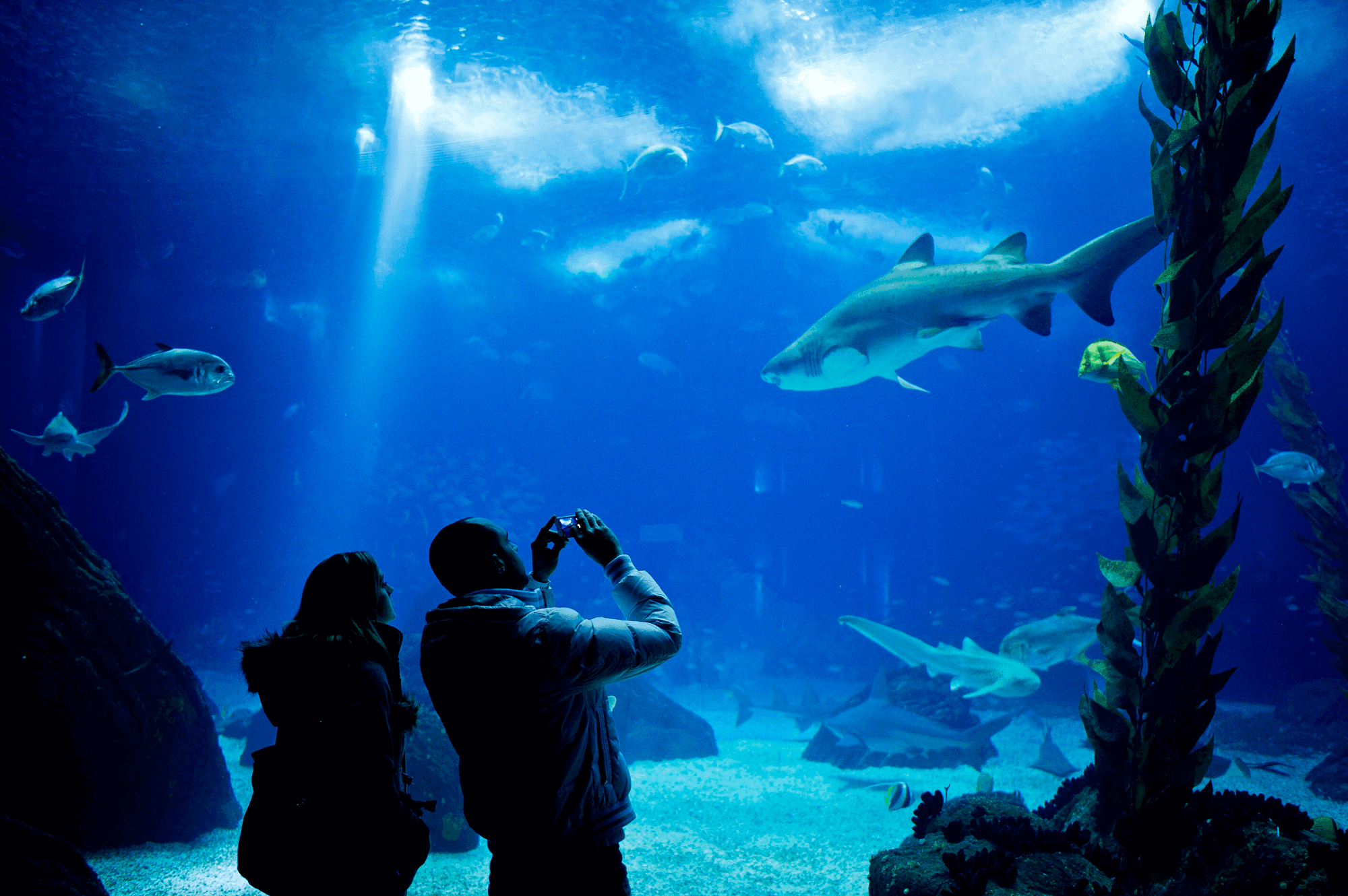 Oceanario Lisboa